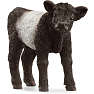 Schleich gallowaykalv 13969