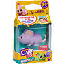 Little Live Pets NeeDees - flere varianter - assorteret