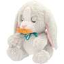 Baby Paws kanin bamse 24 cm 