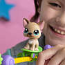 Littlest pet shop legesæt
