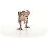 Schleich carcharodontosaurus 15048