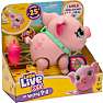 Little Live Pets - Piggly