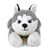 FAO Schwarz Husky bamse