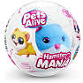 Pets Alive Hamstermania hamsterkæledyr - assorteret
