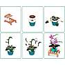Max Build have planter - Phalaenopsis