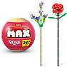 Max Bricks rose