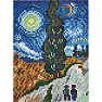Hama art midi - Van Gogh