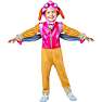 Paw patrol - skye kostume 3-4 år