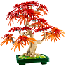 LEGO Botanicals Bonsaitræ japansk løn 10348