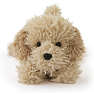 FAO Schwarz Cockapoo bamse
