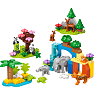LEGO DUPLO By 3-i-1 vilde dyrefamilier 10446