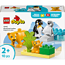 LEGO DUPLO Vilde dyrefamilier: pingviner og løver 10442