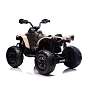 Can Am Renegade ATV