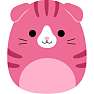 Squishmallows plys - Geraldine Kat