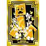 Lego Minecraft samlekort startepakke