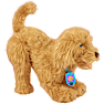 My Fuzzy Friends labradoodlen Moji