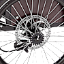SCO Premium E-Cargo el-ladcykel 15AH - sort