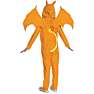 Pokémon Charizard kostume