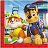 Mønstrede servietter 33x33 cm 20-pak - Paw Patrol