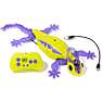 Hex Bots Wall Crawler chameleon - flere varianter - assorteret