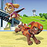 Paw Patrol Team puslespil - 3x49 brikker