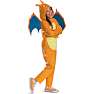 Pokémon Charizard kostume