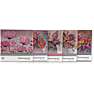 Diamond art 20 x 20 cm - flere varianter - assorteret