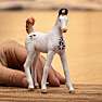 Schleich marwari-føl 14896