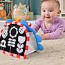 Fisher-Price Prop 'n Go aktivitetslegetøj