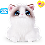 Pets Alive Smitten Kittens kat – flere varianter – assorteret