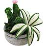 Piberenser DIY - små planter
