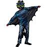 How to train your dragon kostume