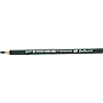 Danpen junior jumbo farveblyant - grøn