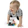 Baby Einstein legetøjsbil