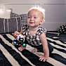 Baby Einstein legetøjsbil