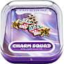 FAO Schwarz charm - Besties