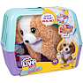 Little Live Pets Ouchies Poodle