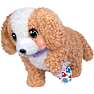 Little Live Pets Ouchies Poodle