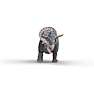Schleich triceratops 15050