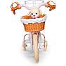 Baby Born cykel med Lucky