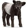 Schleich gallowaykalv 13969