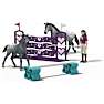 Schleich lisas turneringstræning 42776