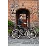 SCO Premium E-Carrier herre elcykel 28" 15AH - sort