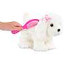 Pucci pups malteser hund 20 cm