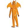 Pokémon Charizard kostume