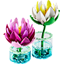 LEGO Botanicals Åkander 11511