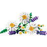 LEGO Botanicals margueritter 11508
