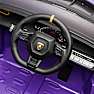 Lamborghini Autentica Bil - Lilla