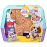 Little Live Pets Ouchies Poodle