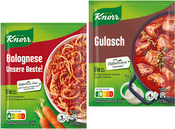 Knorr Fix